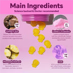 Her Juicy Feminine Probiotics Gummies - 60ct Pineapple Flavor for Women’s pH Balance