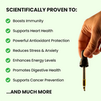 Soursop & Superfoods Elixir | Holistic Support for Energy, Stress & Immunity in a Single Daily Drop