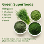 Gut Health Bundle，The 2-in-1 Gut Reset & Cellular Detox Duo: Spirulina & Chlorella Blend，Soothe &amp; Restore Gut Health