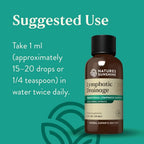 Lymphatic Drainage Supplement Promotes The Efficient Drainage of The Lymphatic System to Promote Overall Health-Shop