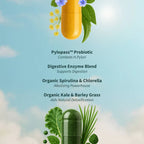 Gut Health Bundle，The 2-in-1 Gut Reset & Cellular Detox Duo: Spirulina & Chlorella Blend，Soothe &amp; Restore Gut Health