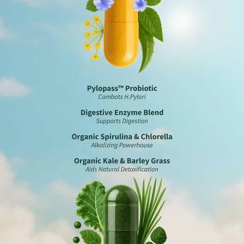 Gut Health Bundle，The 2-in-1 Gut Reset & Cellular Detox Duo: Spirulina & Chlorella Blend，Soothe &amp; Restore Gut Health
