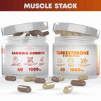 Peak Revival-X Alpha Muscle Stack for Fast Recovery & Muscle Growth