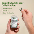 Gut Health Bundle，The 2-in-1 Gut Reset & Cellular Detox Duo: Spirulina & Chlorella Blend，Soothe &amp; Restore Gut Health