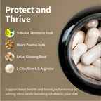 Snap Supplements Prostate & Bladder Complex Extra Strength Prostate & Bladder Health Support – Dietary Supplement