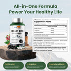 Shilajit for Men & Women with Fulvic Acid & L-Arginine – Himalayan Shilajit Capsules for Energy, Stamina & Immune Support, Non-GMO, Made in USA, 60 Ct (1,300mg/Serving)